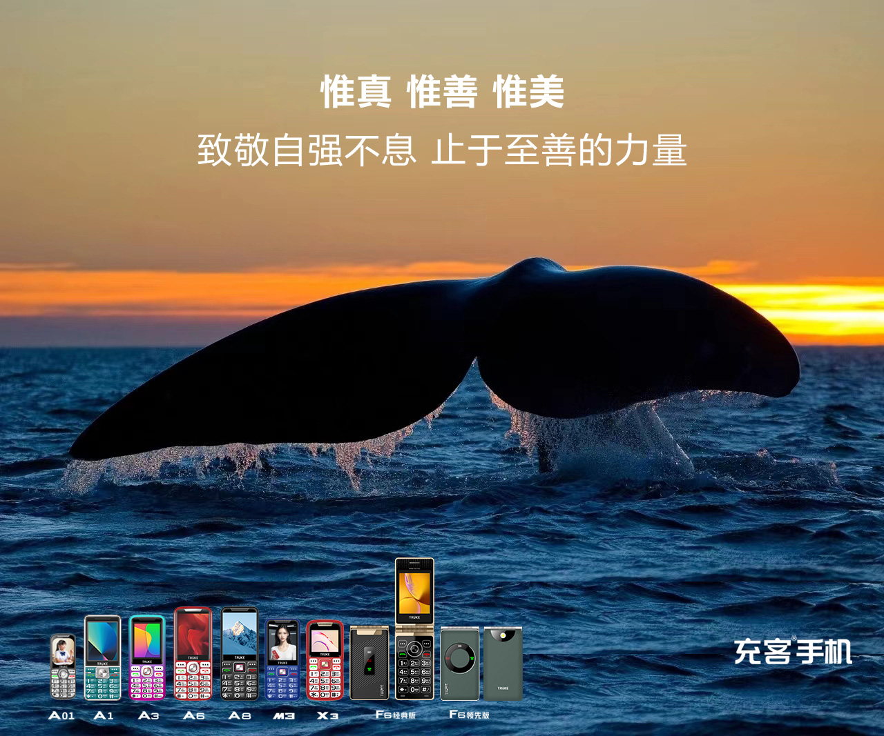 1735383688348844.jpg 微信图片_20241114152822.jpg